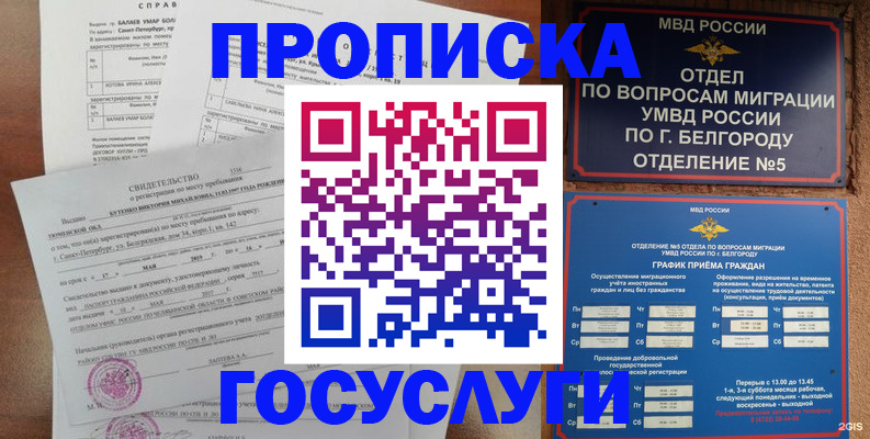 прописка для школы в Сочи